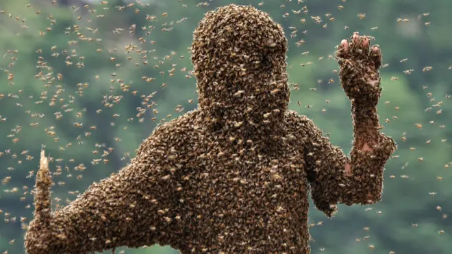 మనిషిని అల్లుకున్న తేనెటీగలు