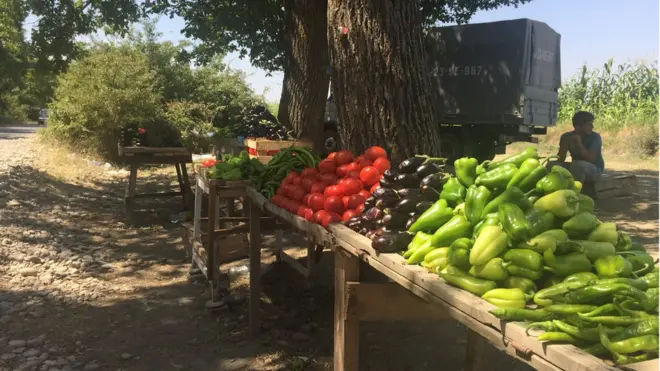 Fermerlər məhsullarını onların yetişdiyi mövsümdə satmağa çalışır