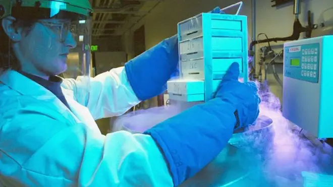 Congelación de óvulos