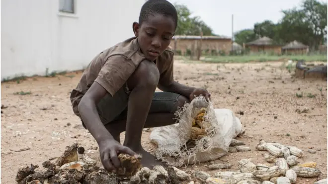 Les autorités Zimbabwéennes a fait savoir que la moitié de la population est menacée de famine.