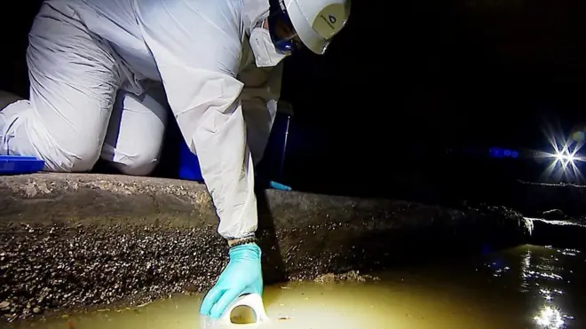 sewers