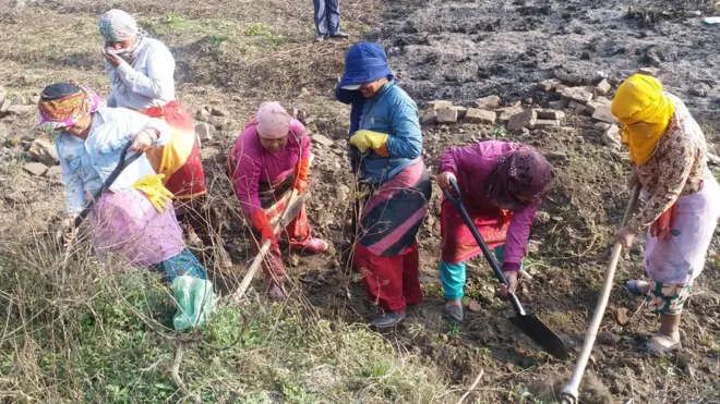 रानीपोखरीमा काम गर्दै महिलाहरू।