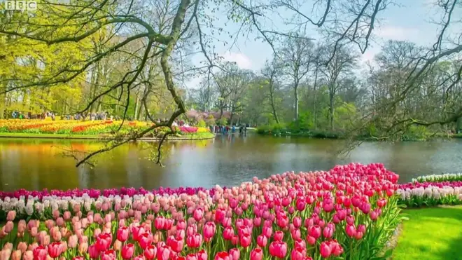 Ботанічний сад Кекенхоф - один з найбільший у світі