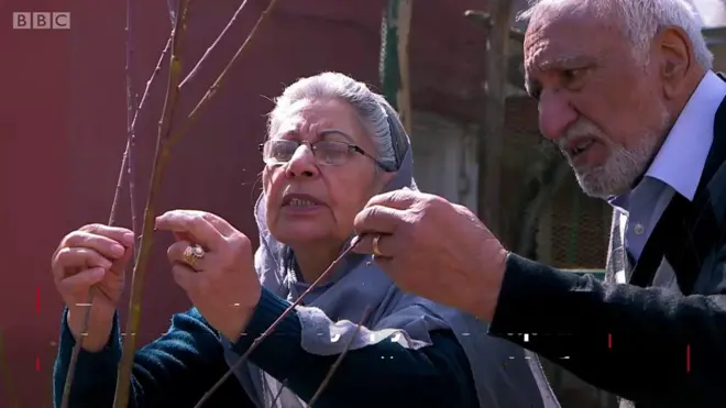 Супруги Омари