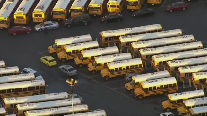Schools buses