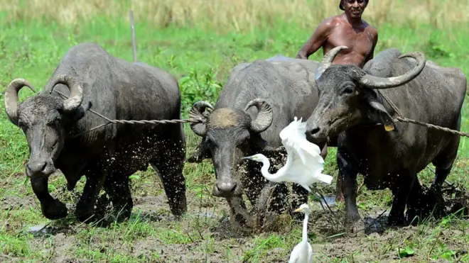 ''දැන් සතුටුයි ද ? සැප ද ? කියලා අහන්න කවුරුත් නෑ.''