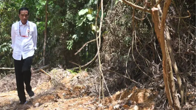 Presiden Joko Widodo berjalan di kawasan hutan saat meninjau salah satu lokasi calon ibu kota negara di Gunung Mas, Kalimantan Tengah, Rabu (08/05).