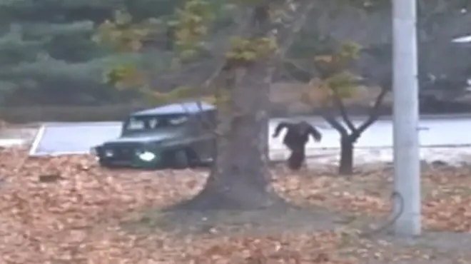 втеча з Кореї?частина друга