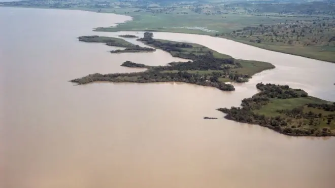 የጣና ደሴቶች