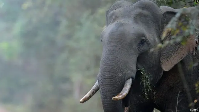 හන්දිපත් වලට ඇන්නම අඩිය තියල ඇවිදින වාරයක් ගානේ ඒක රිදෙනවා.