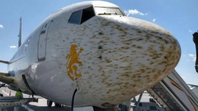 Ibihori byirunze ku kizuru cy'indege