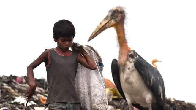 ગરીબીની પ્રતીકાત્મક તસવીર