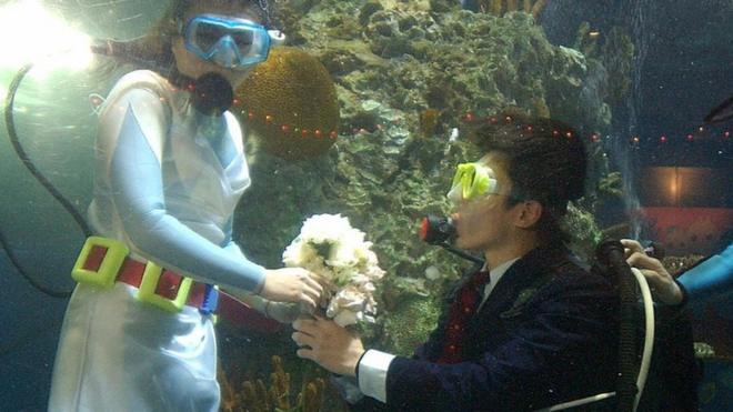 在台湾，一名男性在水下向女友求婚