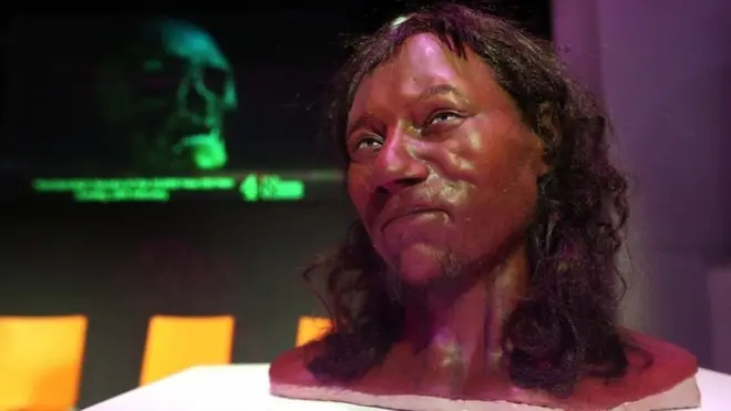 Cheddar Man model