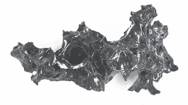 These black, shiny fragments are believed to be the glassy remains of a man's brain