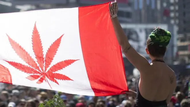 420 celebrations at Yonge Dundas square.