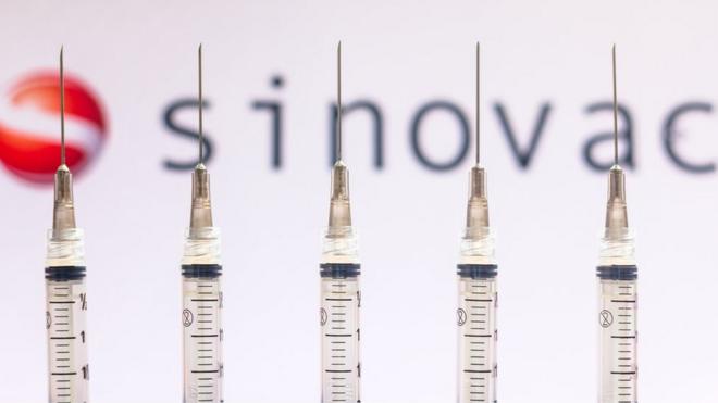 Various medical syringes seen with Sinovac Biotech company logo displayed on a screen in the background.