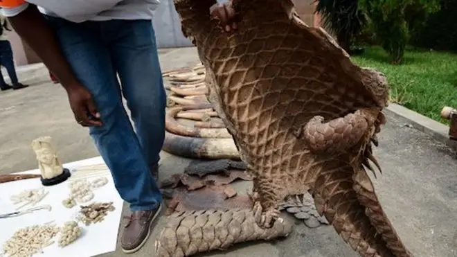 Мужчина с кожей панголина