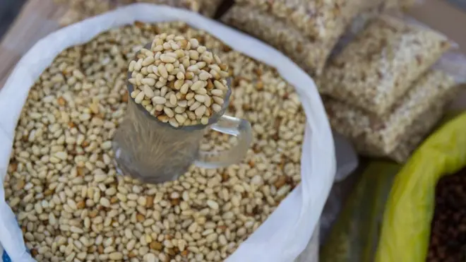 (图片来源:Samuel Bergstrom)