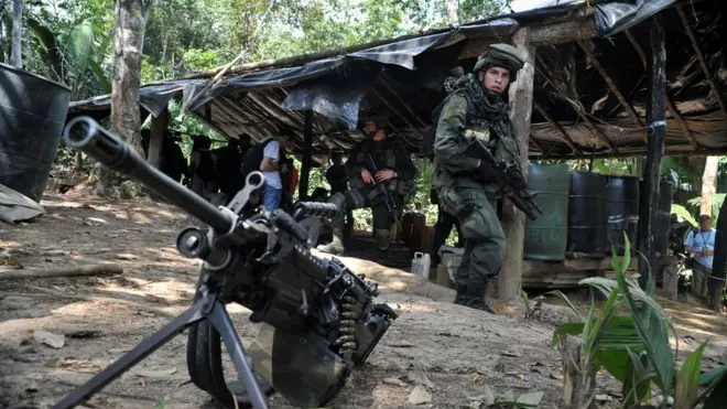 Los cultivos ilegales han alimentado el conflicto armado.