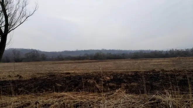 Фото згарища з долини нарцисів