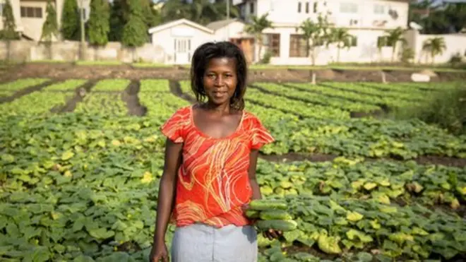 Waste water is widely used in Ghana to irrigate land near big cities