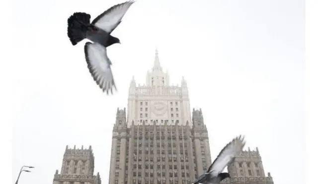 الوثائق السرية أوضحت أنه تم تدريب الحمام للقيام بمهام تجسس