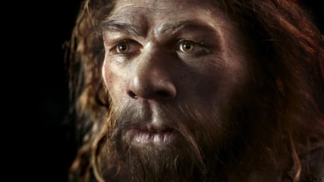 หุ่นจำลองใบหน้าของมนุษย์โบราณนีแอนเดอร์ทัล