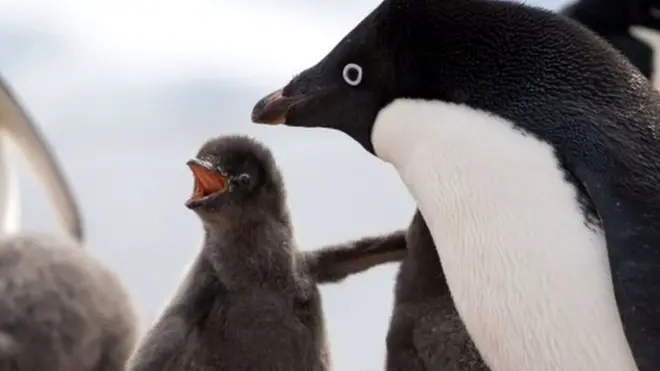ఐదేళ్లలో ఇలాంటి విపత్తు రావడం ఇది రెండోసారి