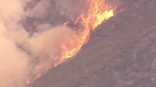 Лесной пожар в Калифорнии