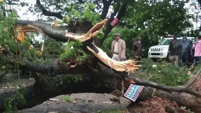 గులాబ్ తుపాను ధాటికి విరిగిపడిన చెట్లు
