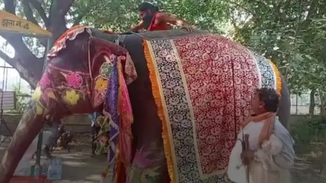 यूपीको मथुरामा हात्तीमाथि बसेर योग गर्दै गर्दा बाबा रामदेव लडे। हात्ती हल्लिएको कारण सन्तुलन बिग्रियो र बाबा रामदेव खसे। एक भिडिओ।