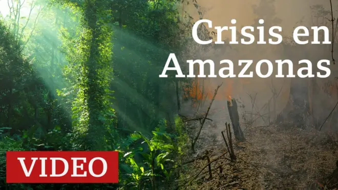 Incendios registrados en varios países amazónicos.