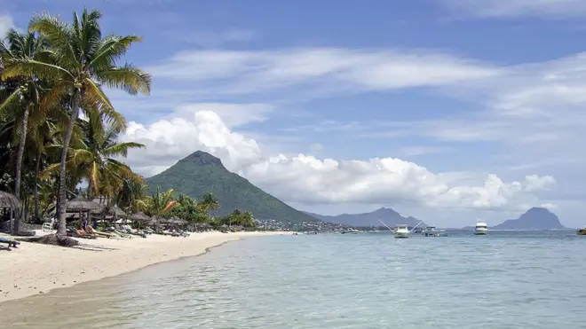 Des cocotiers bordent la plage de Flic en Flac sur l'île Maurice.
