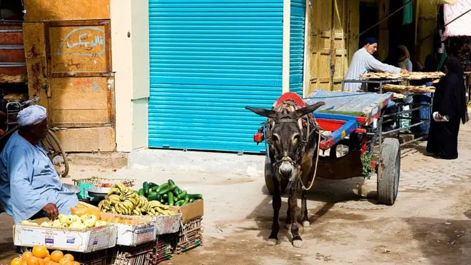 أحد شوارع مدينة أسوان