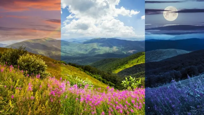 7 de estos, todas las semanas.