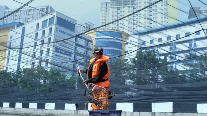 Seorang petugas UPK Badan Air Dinas Lingkungan Hidup tengah membersihkan Kali Item yang kini sudah ditutupi oleh waring