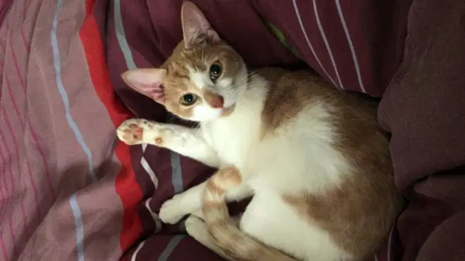 Ivy was found dead and her body was kept in a freezer so it could be re-examined