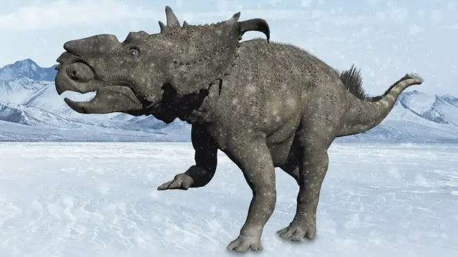Illustration of a Pachyrhinosaurus standing in a sow-covered landscape