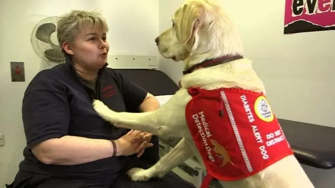 แมจิกจะเตือนเจ้าของทุกครั้งเมื่อระดับน้ำตาลกลูโคสในเลือดเปลี่ยนแปลง