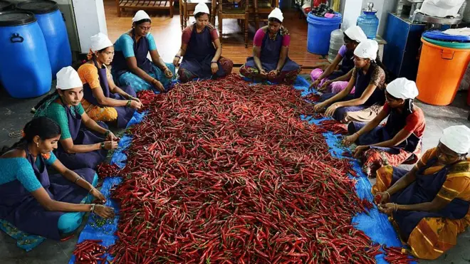 Los emprendedores sociales buscan beneficiar a la comunidad.