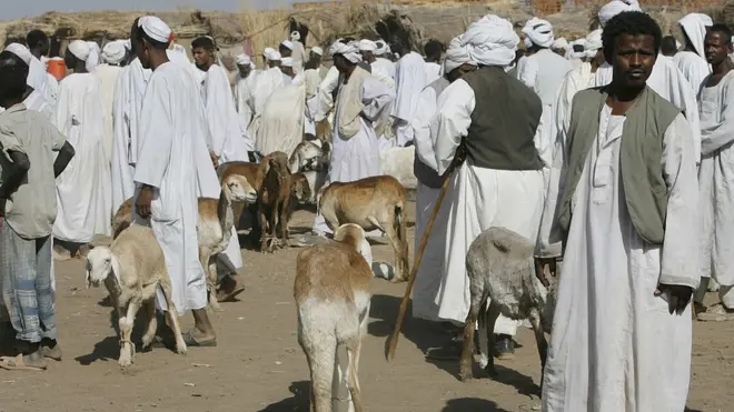 ብምርባሕ ጥሪት ዝናበሩ ነበርቲ ገዳርፍ