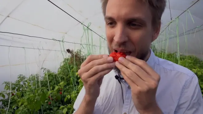 Најљућа паприка у Србији