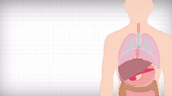 پندرہ سے بیس کلو گرام وزن کم کرنے سے پچاس فیصد ضیابیطس کے مریض اس بیماری سے چھٹکارہ حاصل کر سکتے ہیں