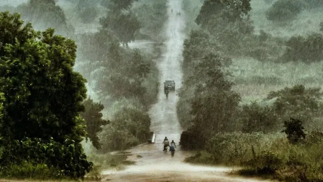 Le Malawi possède une riche couverture forestière primaire, mais elle diminue rapidement en raison des coupes effectuées pour l'exploitation des terres agricoles et du bois de chauffage.