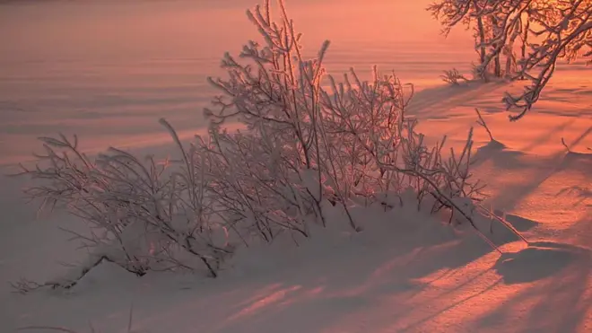 сніг з пластику в Арктиці