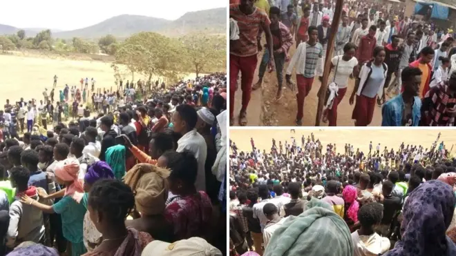 Hiriira mormii barattootaa