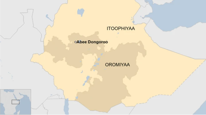 Kaartaa Abee Dongoroo