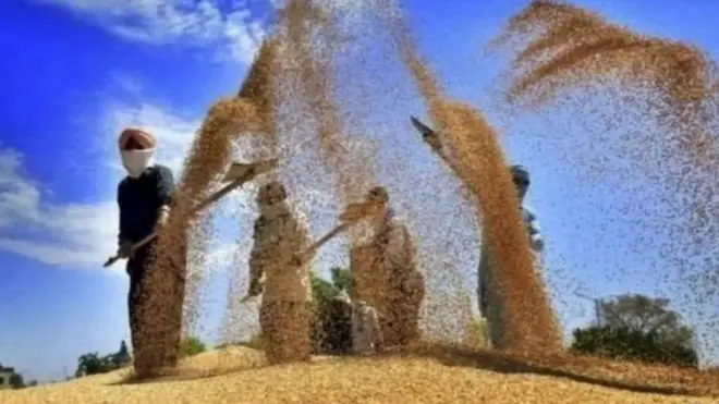 एमएसपी एक्सप्लेनर