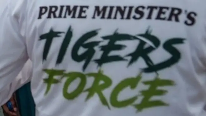 ٹائیگر فورس